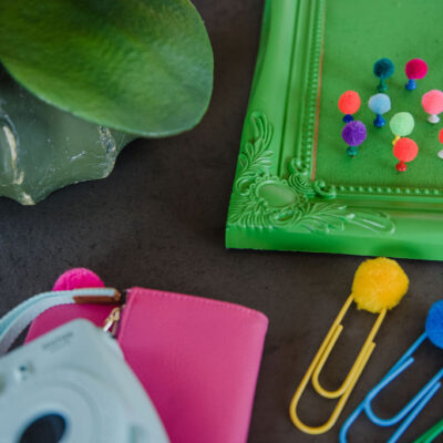 pom pom push pins
