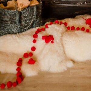 Red Pom Pom Garland 3