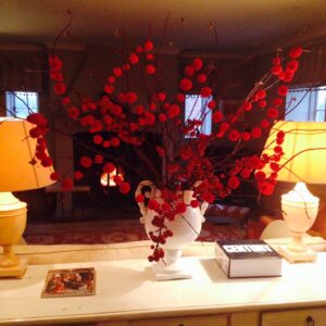 Red Pom Pom Garland 4