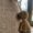 Pom Pom and Trio Tassel Swags Denim and Natural, Large 3