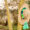 Pom Pom Hat Band Green 6