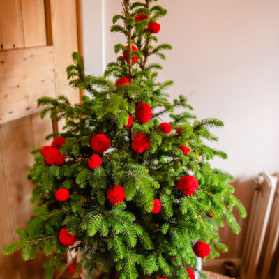 Red Pom Pom Garland 5