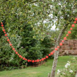 Orange Pom Pom Garland 2