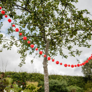 Orange Pom Pom Garland 3