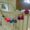 Jumbo Fiesta Pom Pom Garland with Tassel in bright colours